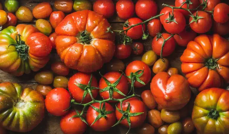 AdobeStock 116780615 scaled.jpeg.webp
