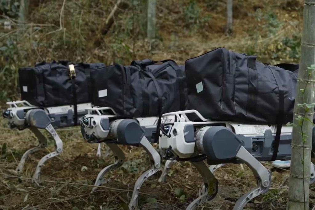 Cani robot.jpg