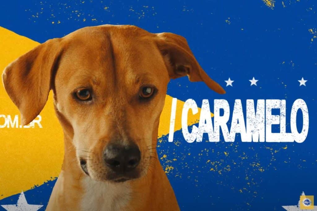 Caramelo.jpg