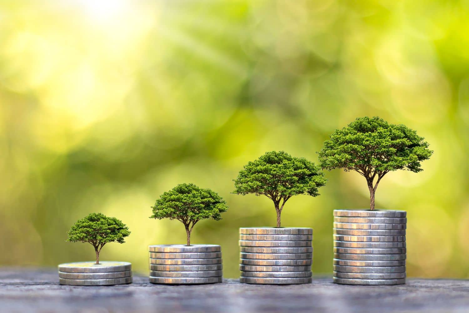 Il buco nero ESG delle banche italiane non quotate: oltre l’80% non ha una policy ambientale 1 Cover Redazione Nuova 1500 x 1000 px 9.jpg