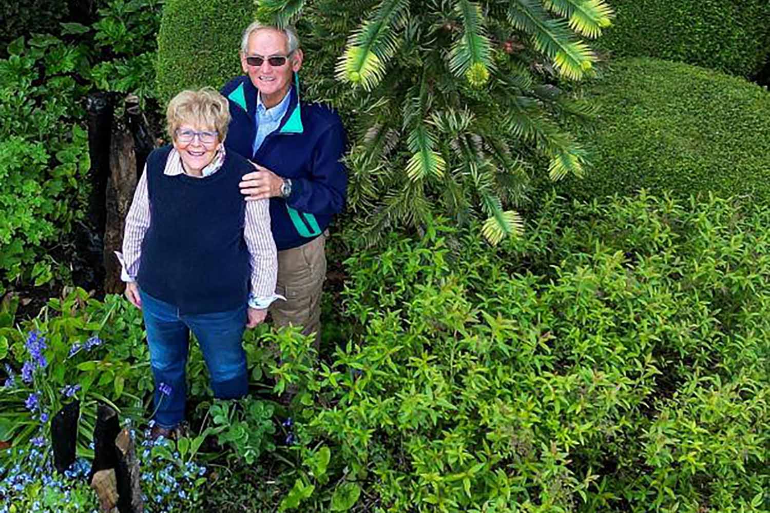 L’albero-dinosauro, ritenuto estinto da milioni di anni, fruttifica per la prima volta nel giardino di una coppia di pensionati 1 Emma Trimble SWNS.jpg
