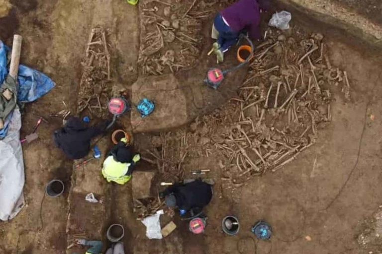 Fossa comune Urban Archeology Vienna.jpg