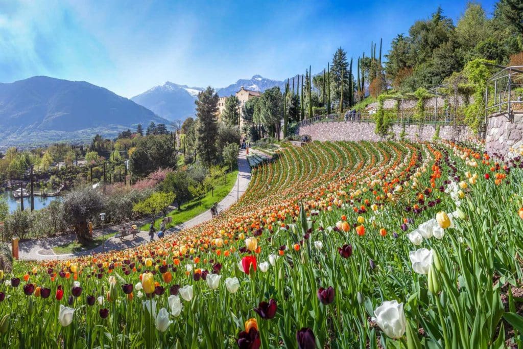 I Giardini di Castel Trauttmansdorff.jpg