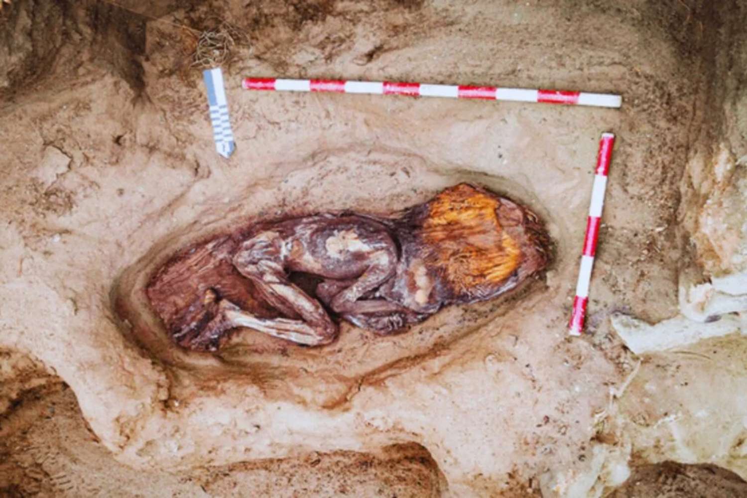 Questa scoperta archeologica straordinaria riscrive il ruolo delle donne nella civiltà Caral 1 Mummia donna.jpg