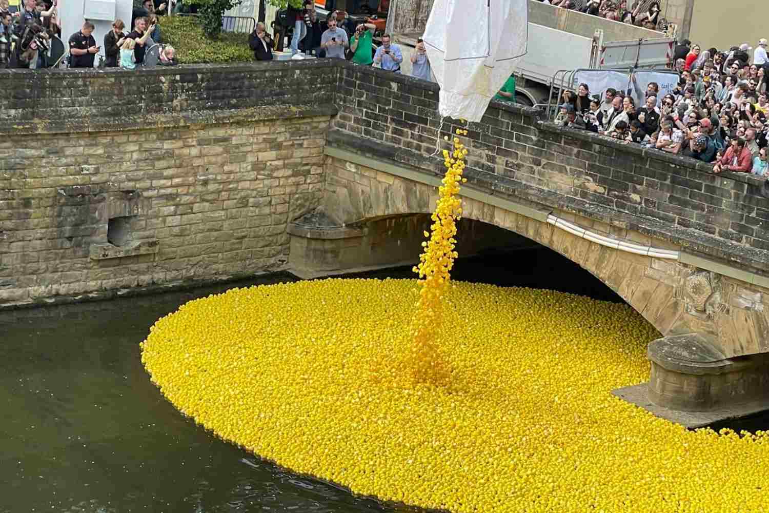 Non solo la Duck Race in Lussemburgo, tutti gli eventi di beneficenza che usano paperelle di plastica (in barba ai danni all’ambiente) 1 Paperelle.jpg