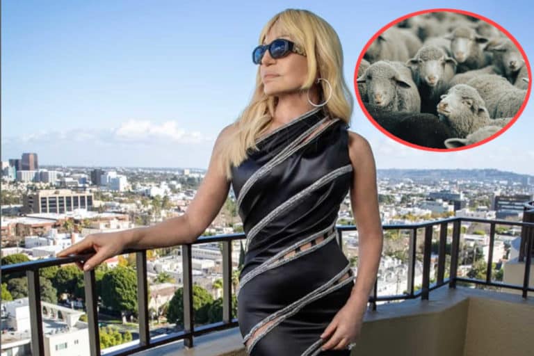 Peta Versace.jpg