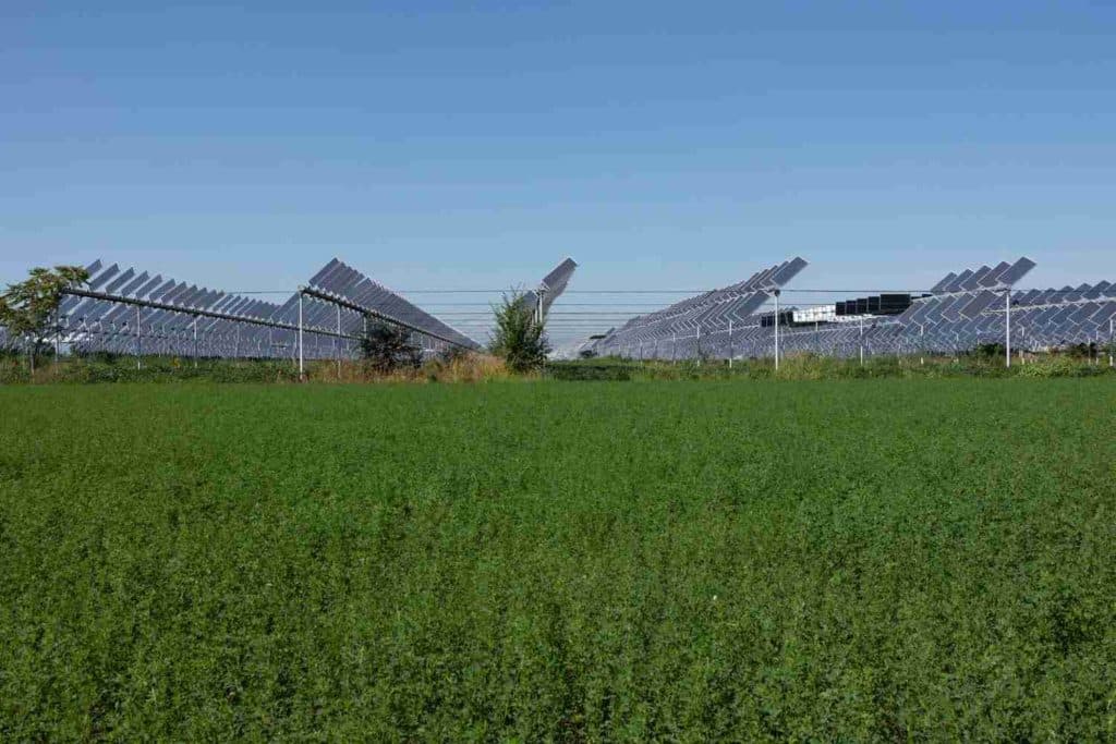 agrivoltaico 1.jpg