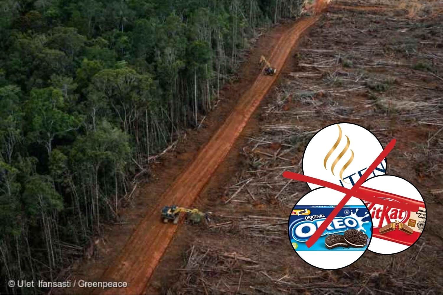 KitKat, Oreo e Pantene: ti spiego perché gli indigeni dell’Indonesia stanno chiedendo il boicottaggio di questi prodotti che compri ogni giorno 1 boicot kitkat.jpg