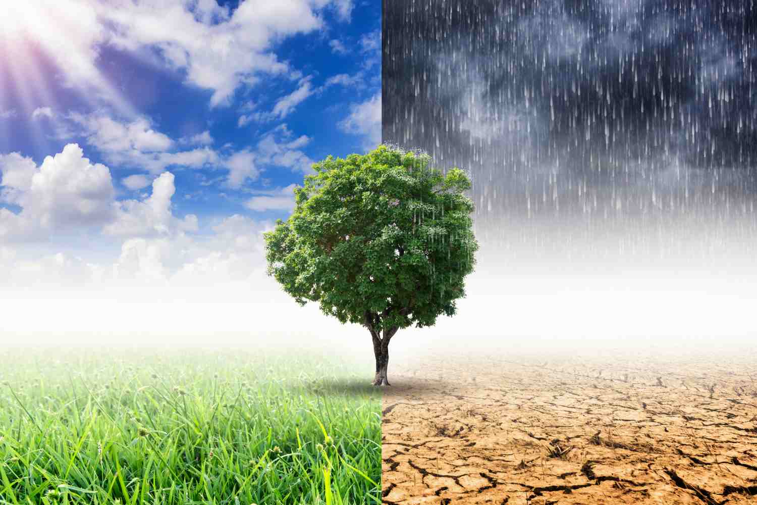 cambiamento climatico.jpg