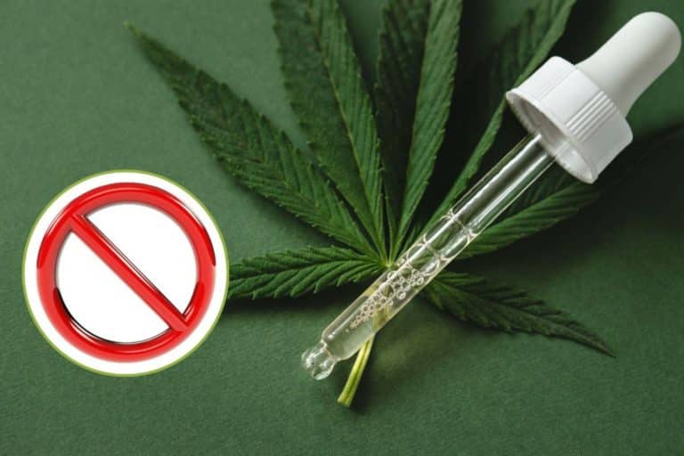 cannabis light illegale.jpg