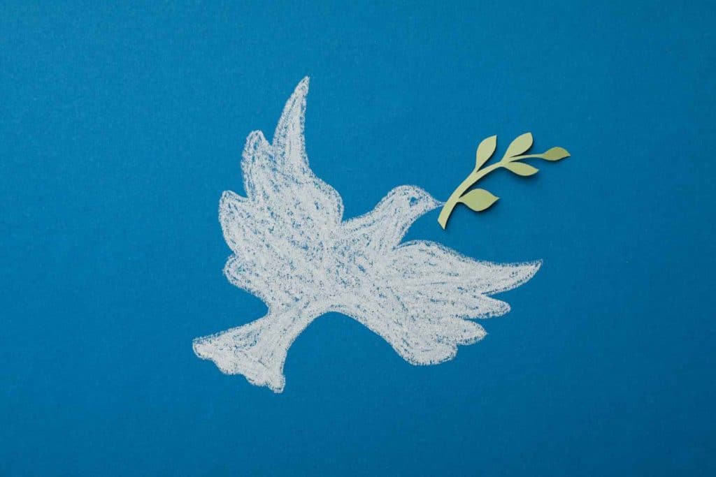 domenica delle palme.jpg