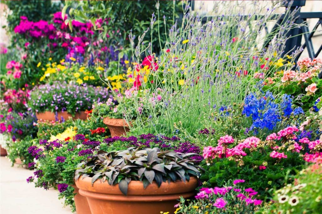 giardino fiorito.jpg