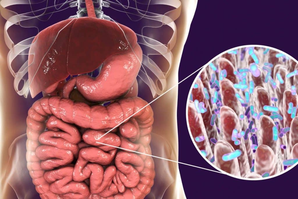 intestino disturbi neurologici c.jpg