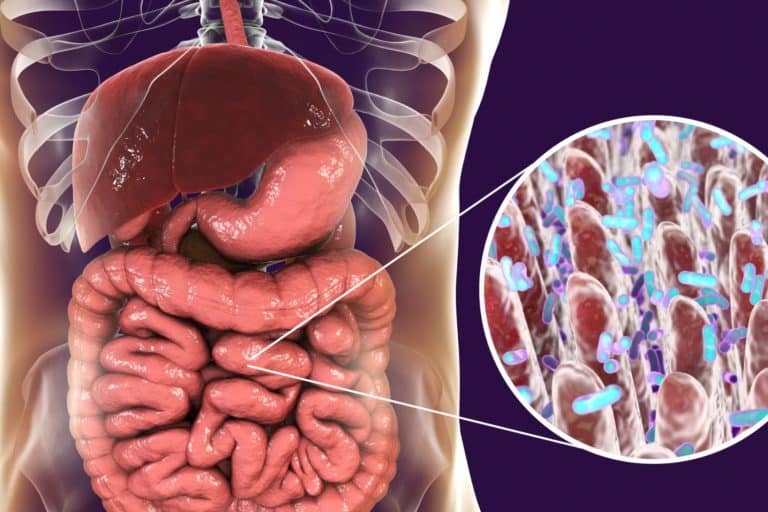 intestino disturbi neurologici c.jpg