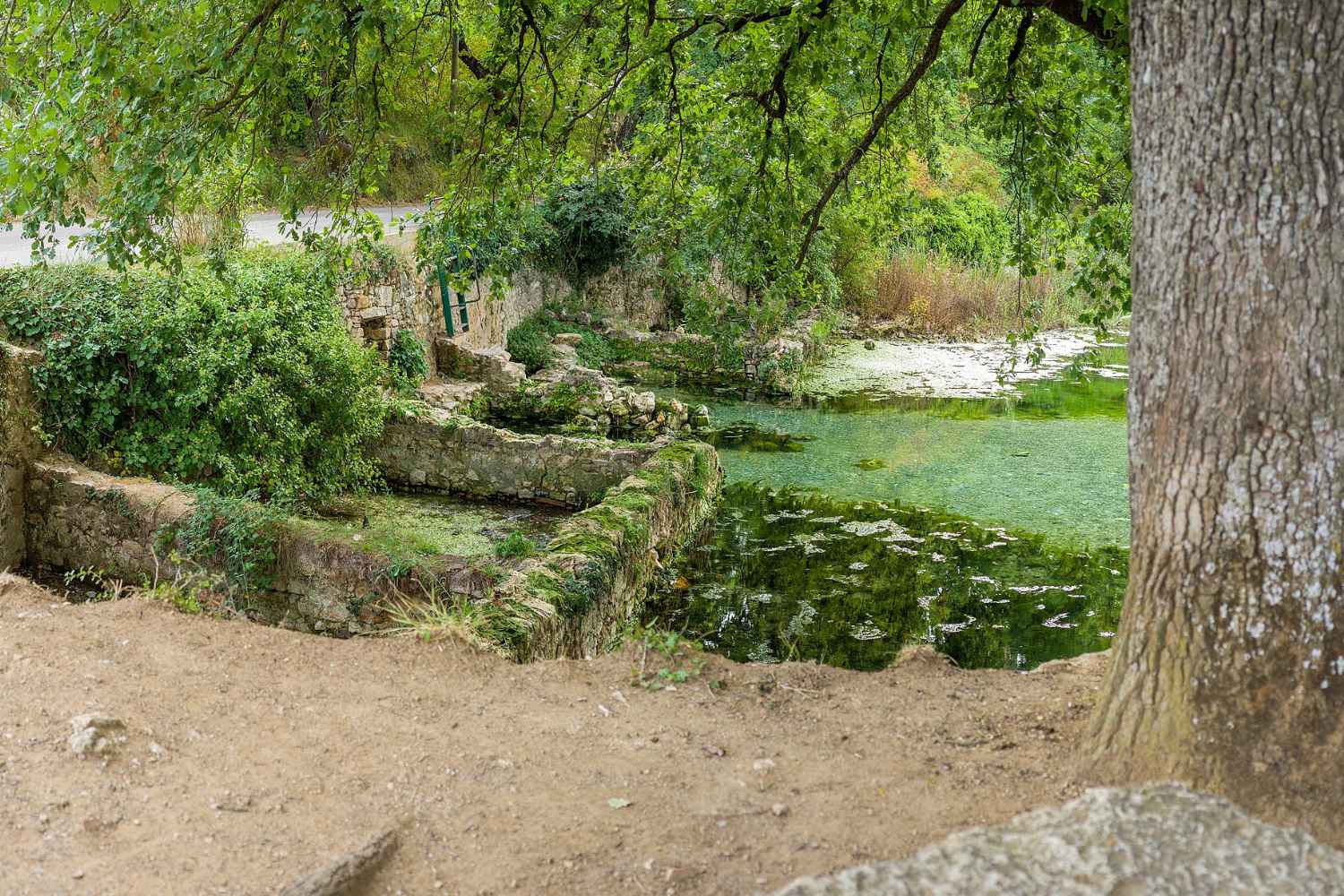 le caldane.jpg