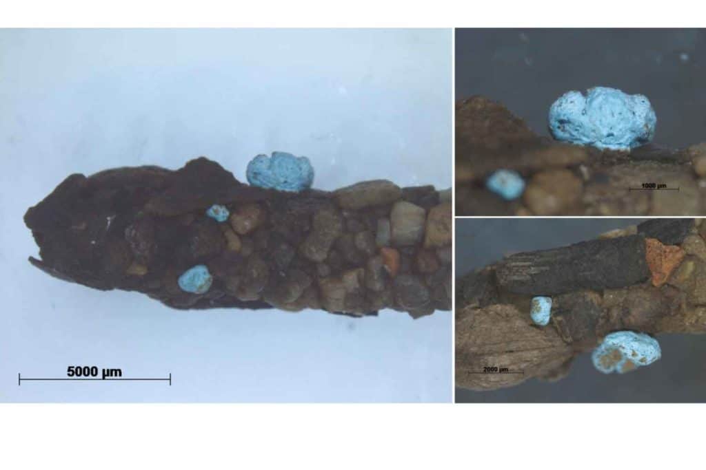 microplastiche 1971.jpg
