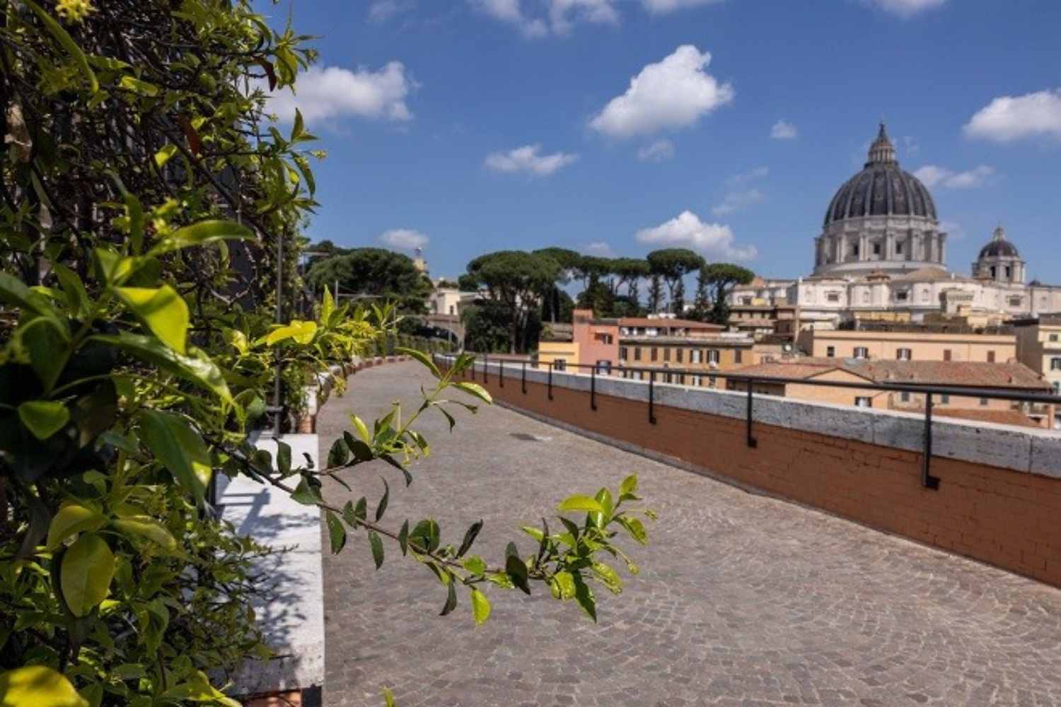 Fiori bianchi e leggende d’amore: questo è il momento perfetto per la Passeggiata del Gelsomino a Roma 1 passeggiata del gelsomino.jpg