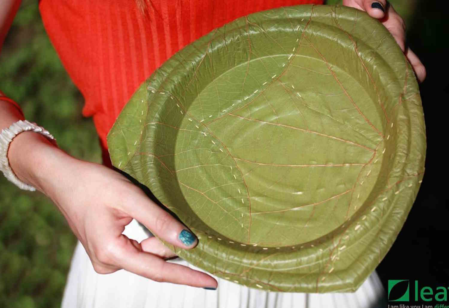 Questa startup tedesca ha creato piatti e stoviglie monouso fatte con le foglie 1 piatti leaf.jpg