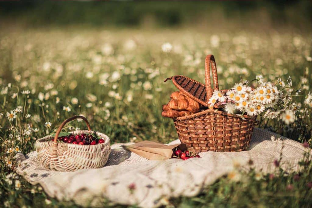 pic nic pasquetta.jpg