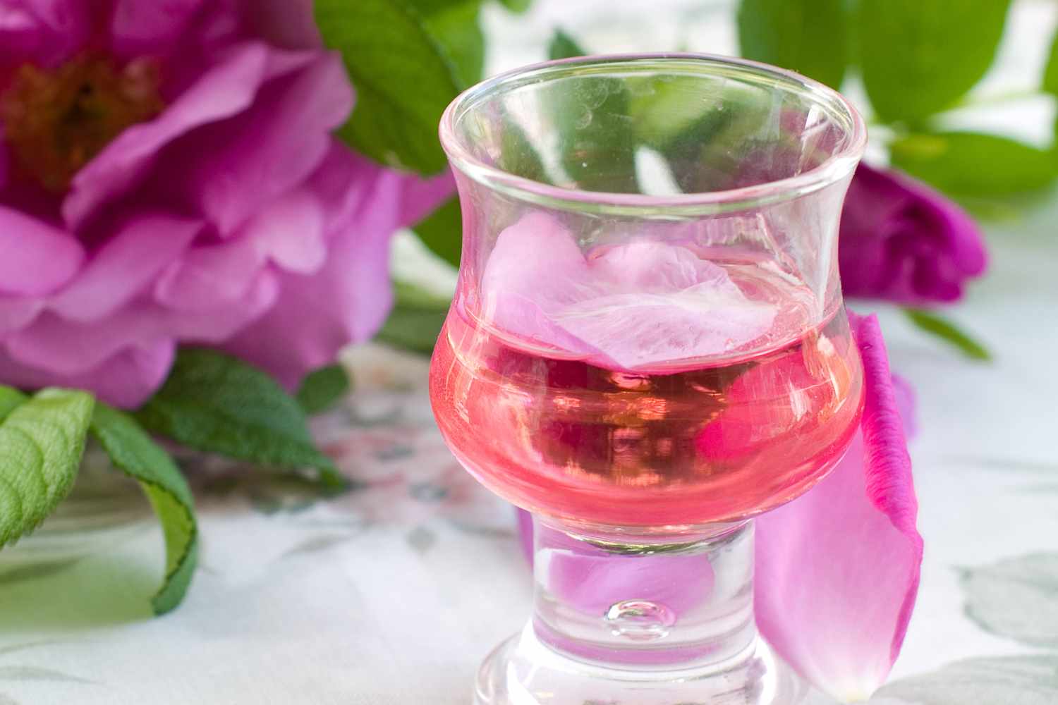 Come preparare il rosolio con i petali di rosa: il liquore proibito delle dame dell’800 1 rosolio.jpg