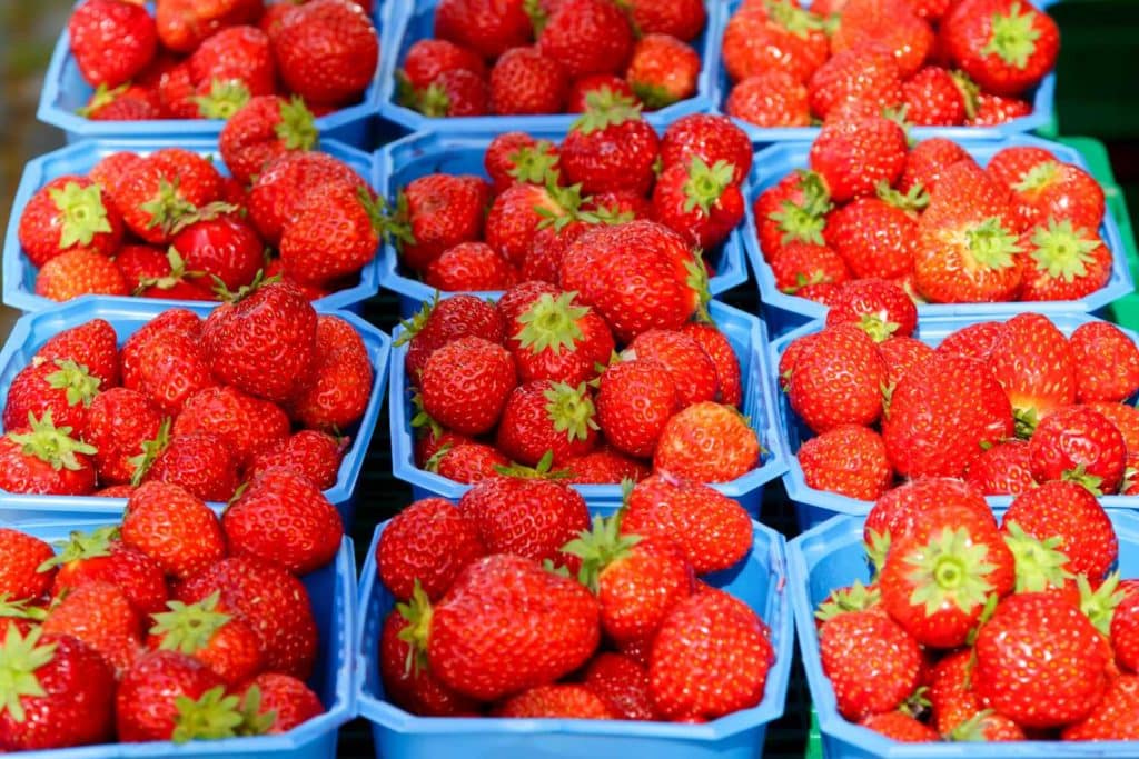 vaschette fragole.jpg