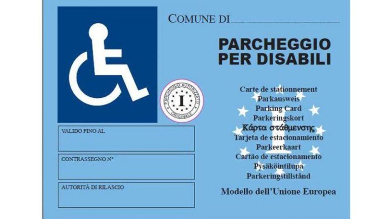 6982 pass disabili europeo.jpg