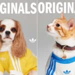 Adidas.jpg