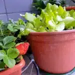 AdobeStock 349038763 scaled.jpeg.webp