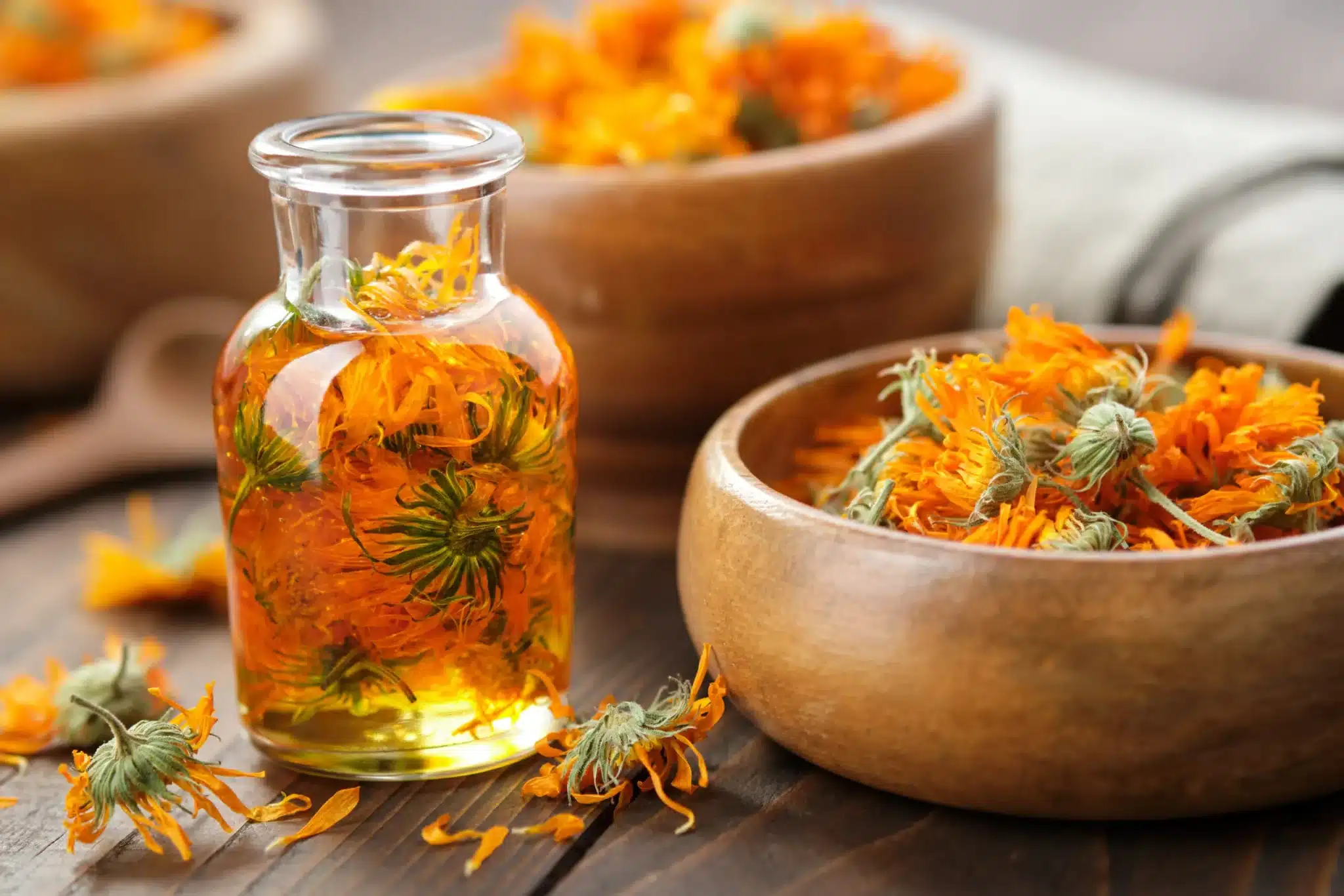 Calendula: tutte le proprietà e gli usi di questa meravigliosa erba officinale 1 AdobeStock 456419100 1 scaled.jpeg.webp