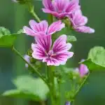 AdobeStock 515090336 scaled.jpeg.webp