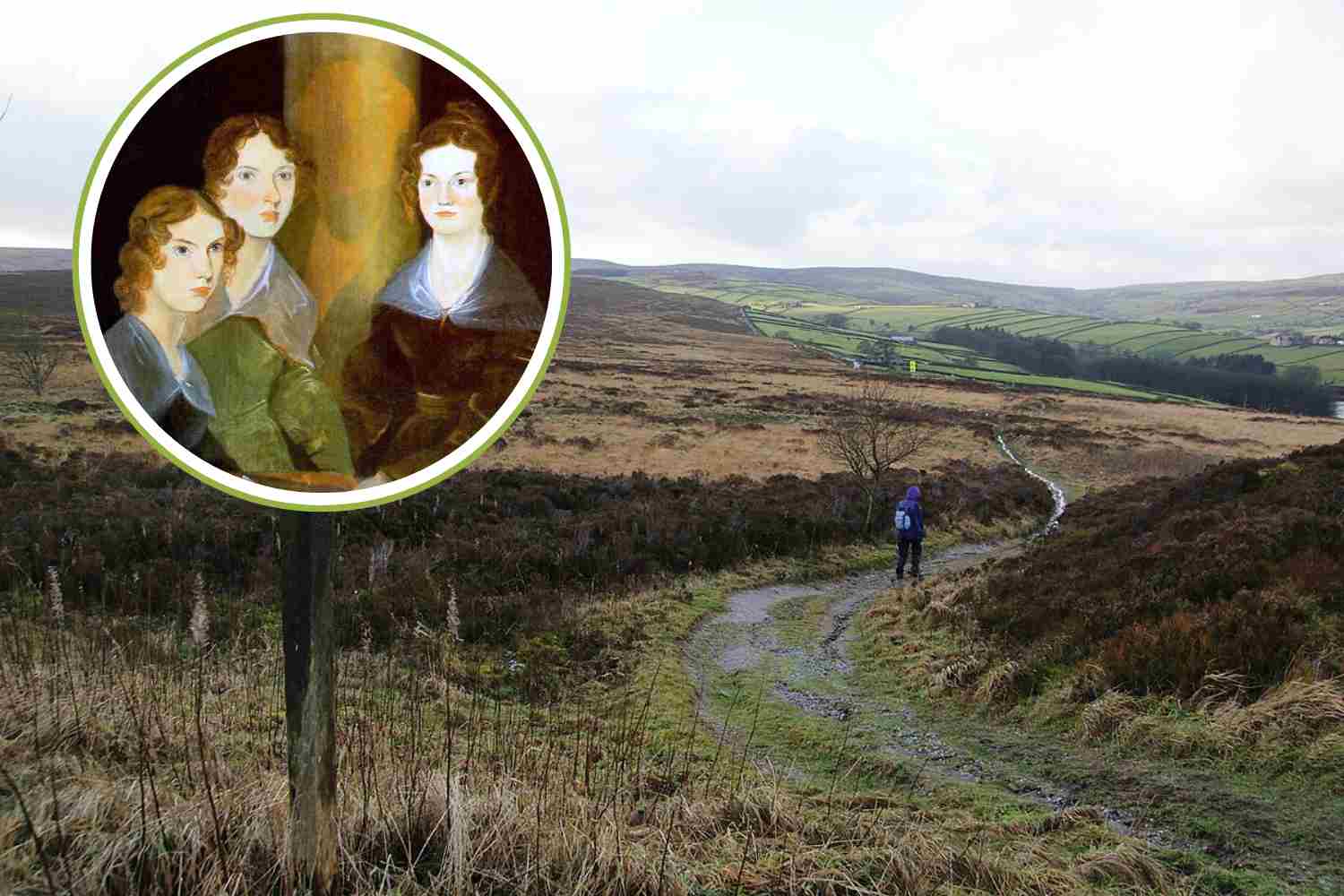 La brughiera che ispirò le sorelle Brontë diventa una riserva naturale nazionale protetta 1 Bradford Pennine Gateway.jpg
