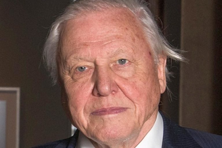 David Attenborough.jpg