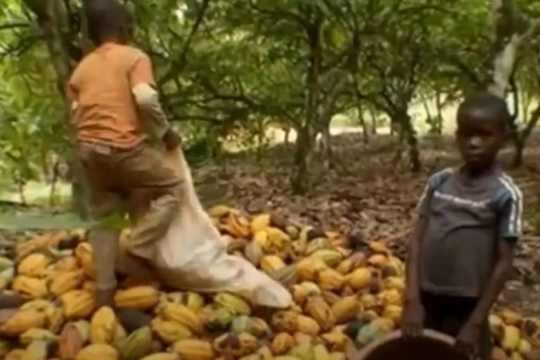 Documentario Nestle.jpg
