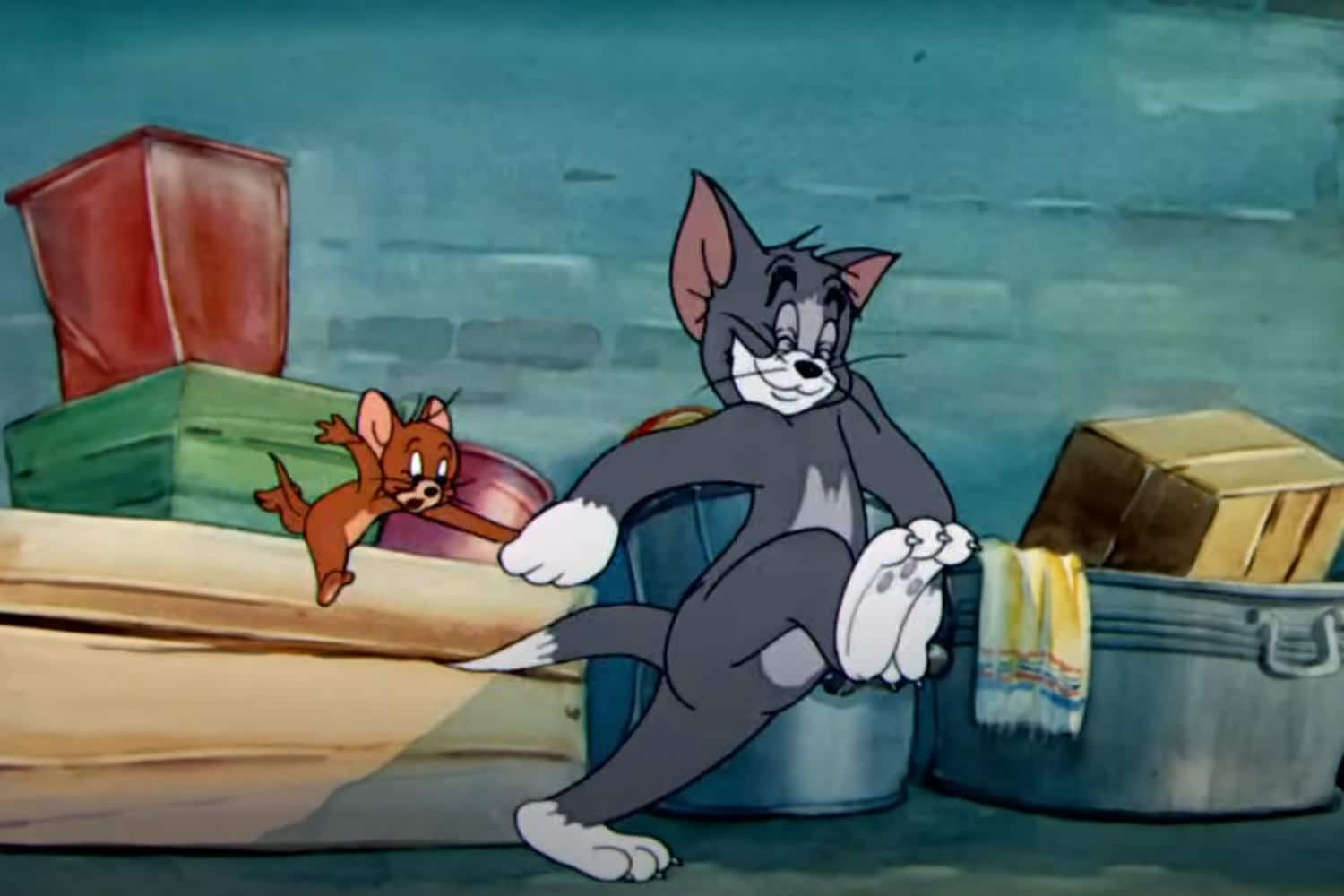 La vera storia di Tom, il gatto Blu di Russia esistito realmente e che ispirò il personaggio di “Tom & Jerry” 1 Gatto Tom.jpg