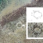 I misteriosi cerchi di pietra di Skye.jpg