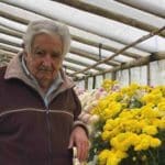 Jose Alberto Pepe Mujica Cordano.jpg