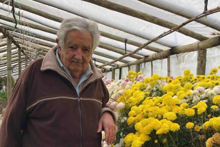 Jose Alberto Pepe Mujica Cordano.jpg