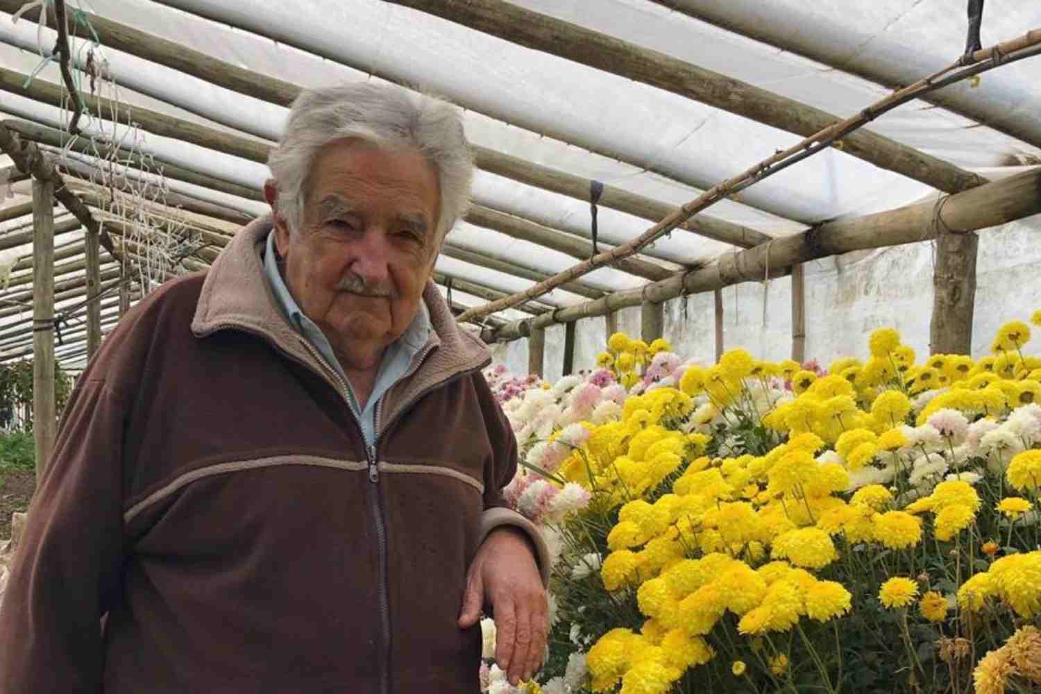 Jose Alberto Pepe Mujica Cordano.jpg
