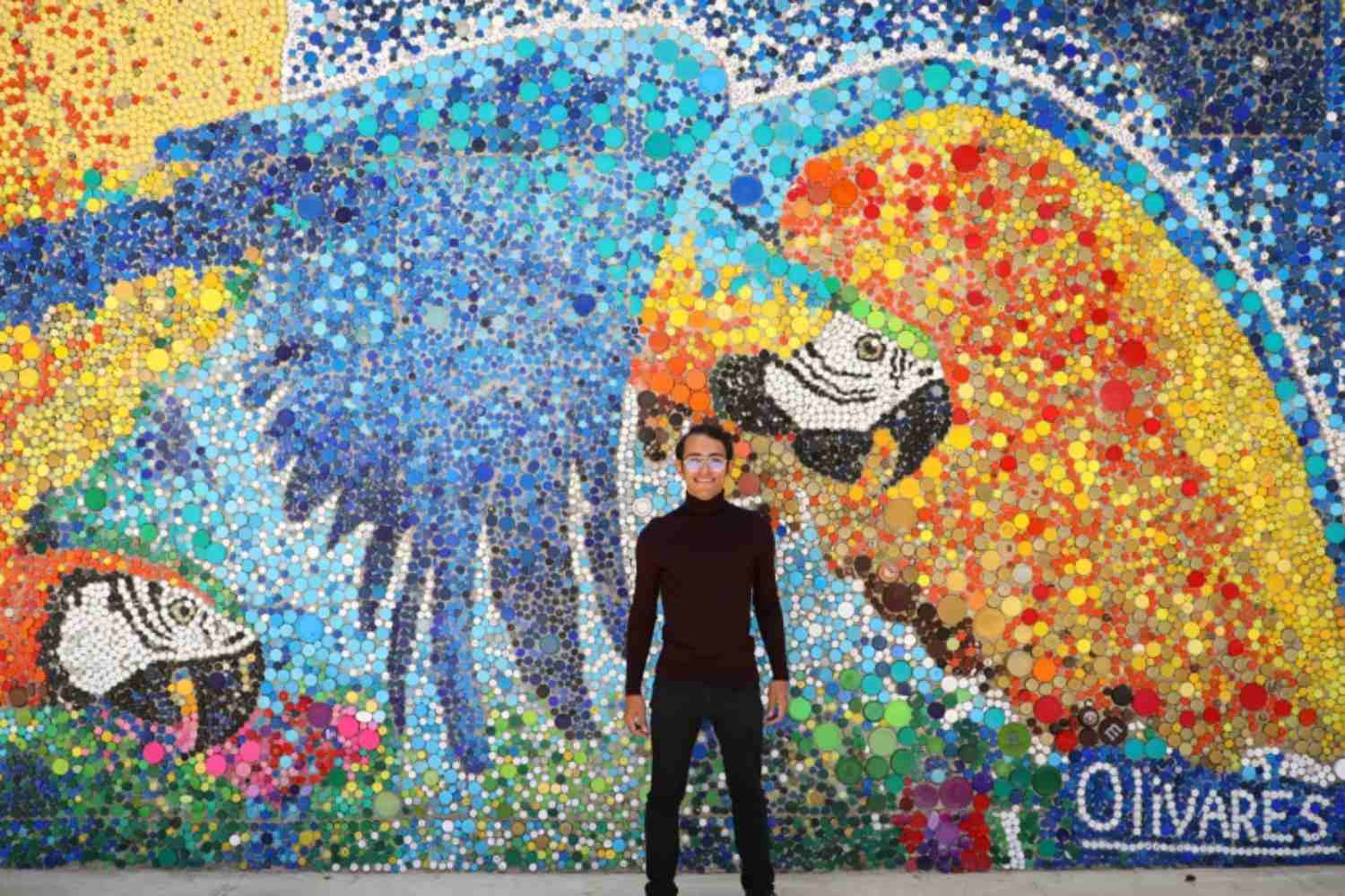 Questo artista crea splendidi murales con i tappi di plastica riciclati (ha anche realizzato il murale ecologico più grande al mondo) 1 Murales tappi.jpg