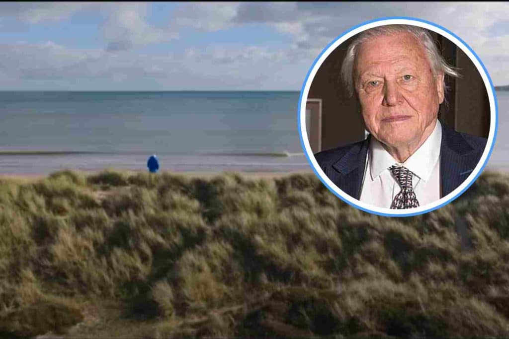 Ocean film David Attenborough.jpg