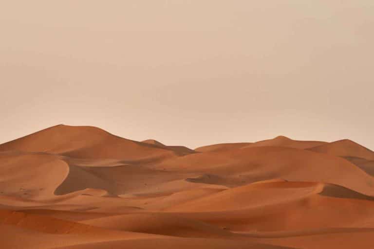 Sahara.jpg