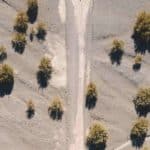 Saudi Green Initiative.jpg