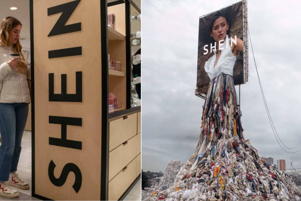 Shein.jpg