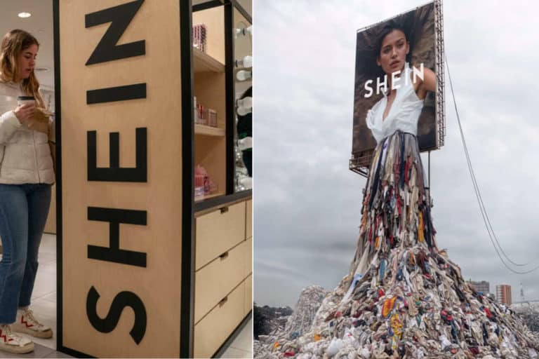 Shein.jpg