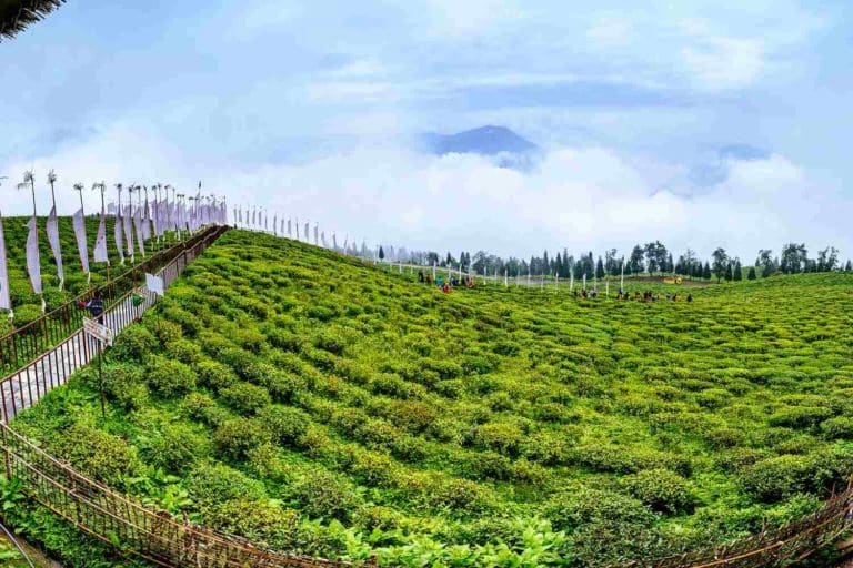 Sikkim stato biologico.jpg