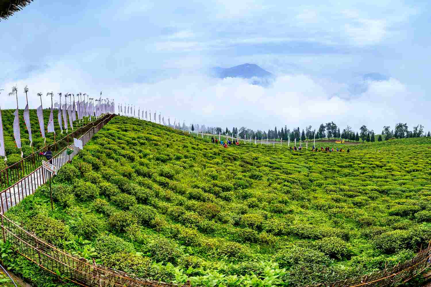 Questo piccolo Stato federato è il primo interamente biologico al mondo (ha detto basta ai pesticidi) 1 Sikkim stato biologico.jpg