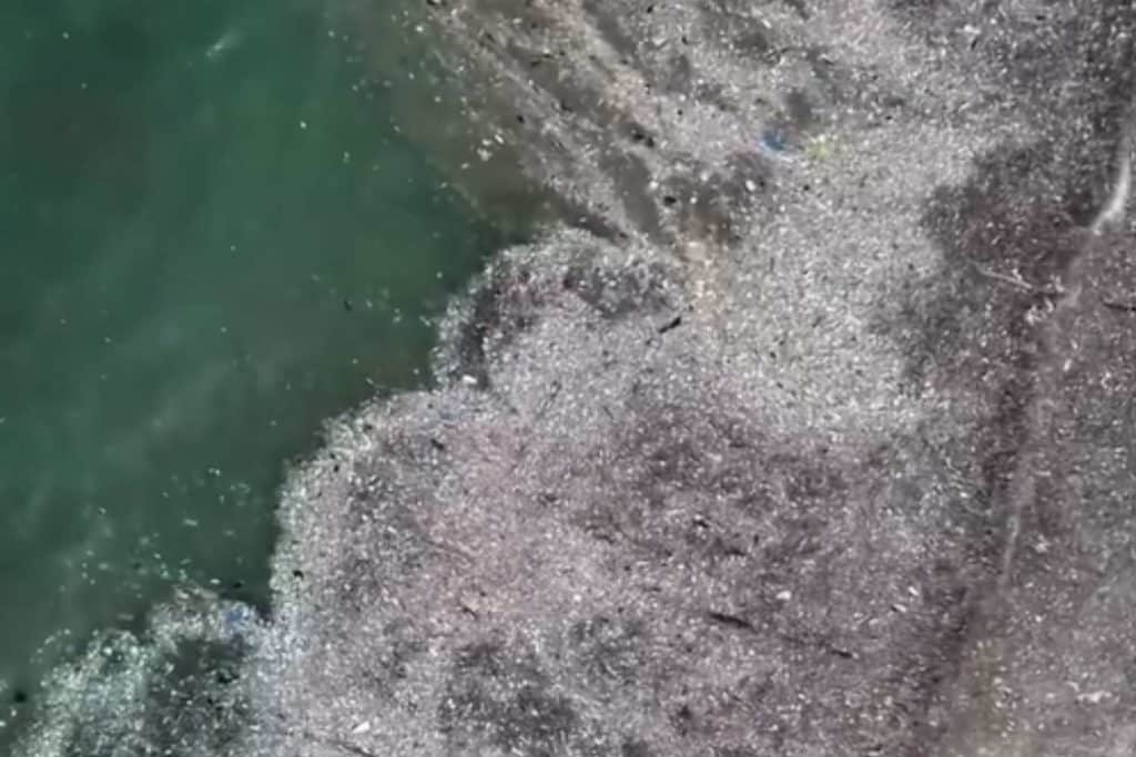 Spiaggia di Kedonganan.jpg
