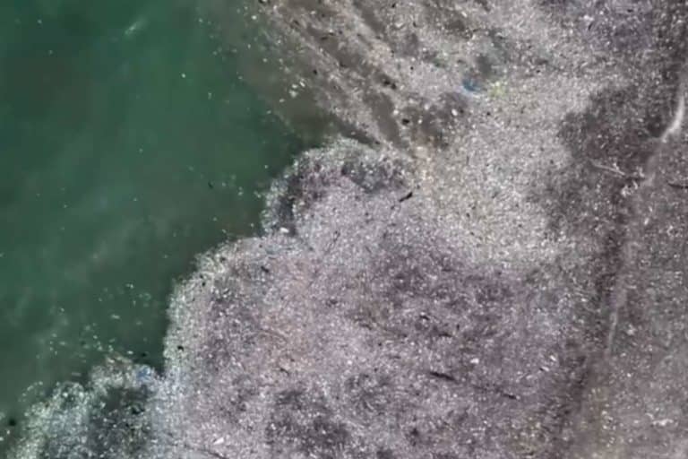 Spiaggia di Kedonganan.jpg