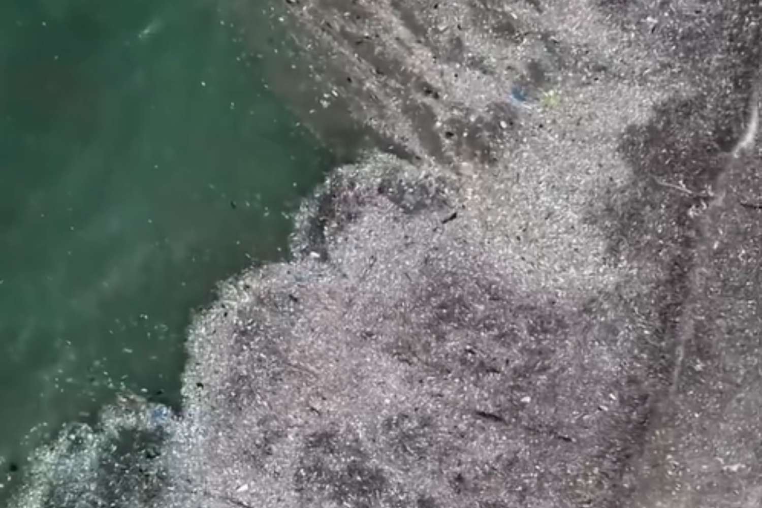 Bali sempre più sommersa dalla plastica: spiagge paradisiache trasformate in discarica 1 Spiaggia di Kedonganan.jpg