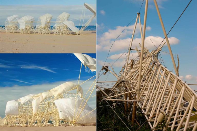Strandbeest ok.jpg